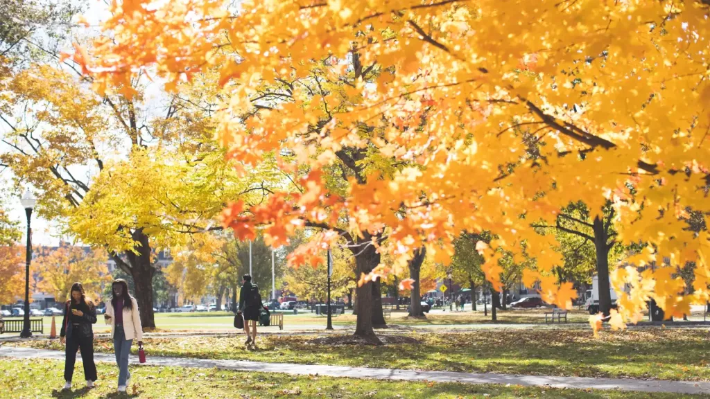 Walking to the class in the fall