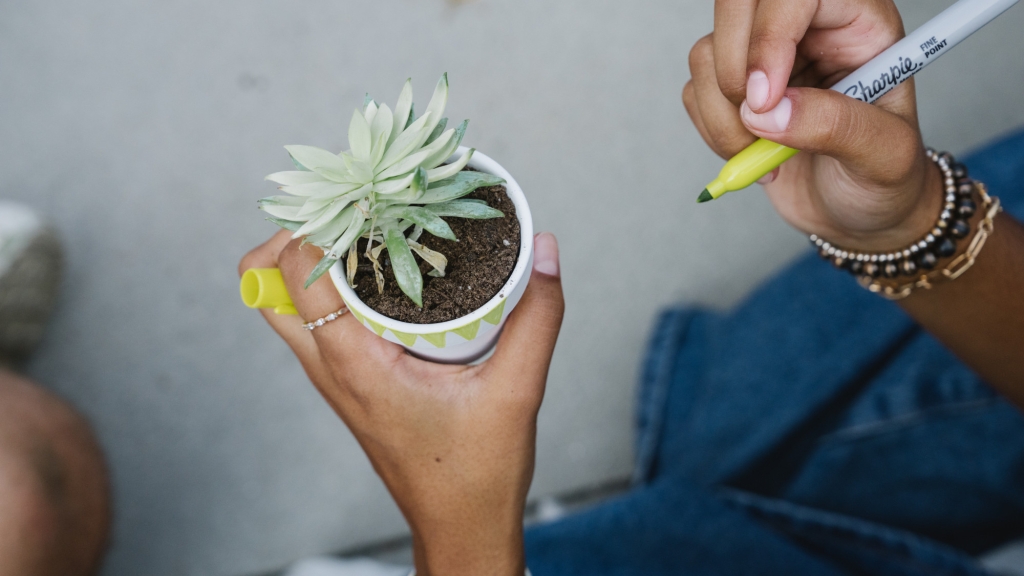 On a warm day outside, a student’s hands are shown. One hand holds a small clay pot containing a live, green succulent. The other hand holds marker, which the student is using to decorate the pot. This is part of a new student activity that symbolizes the replanting of life into the new Dartmouth environment.