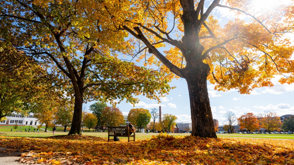 On the grassy green at the center of Dartmouth’s campus, a student reclines on a wooden bench beneath two large yellow-leaved trees, surrounded by lots of yellow, brown, and red leaves on the grass below. To the left of the green, students walk to and from Dartmouth Hall for classes. In the background, additional trees are changing color for Fall, with the Hood Museum and the Hopkins Center for the Arts partially visible beyond the trees.